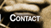 Contact Me